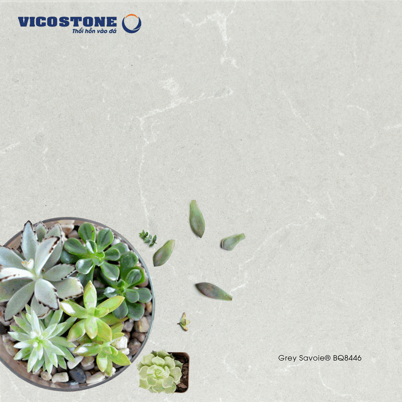 Vicostone - BQ8446 Grey Savoie